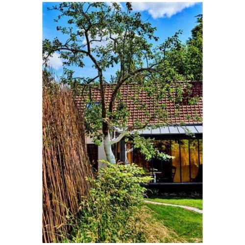 Hotel La Grenouill�re