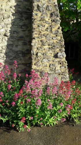 G�te Aux Tournesols