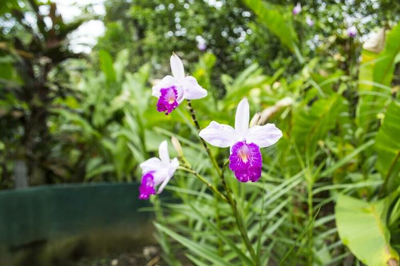 Blue River Resort & Hot Springs