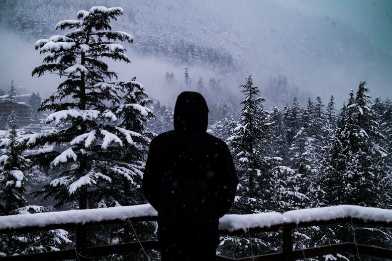 Hotel Alt Life Manali