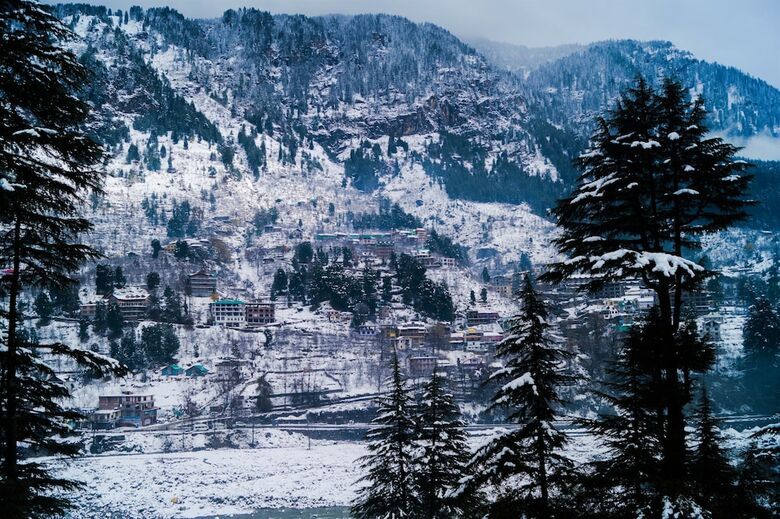 Hotel Alt Life Manali