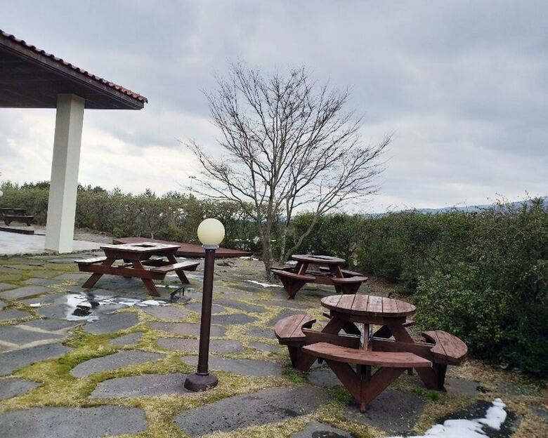 Apartamento Springdale