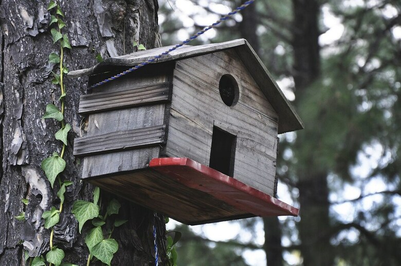 Apartamento Kasauli Hills Resort