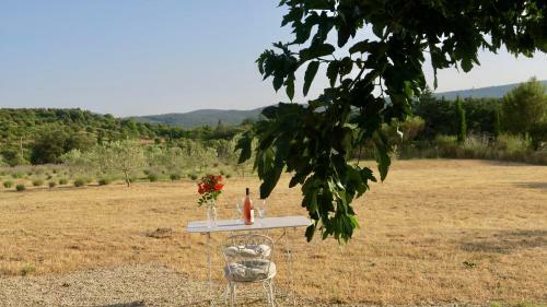 Le Clos D'estellan - Gite