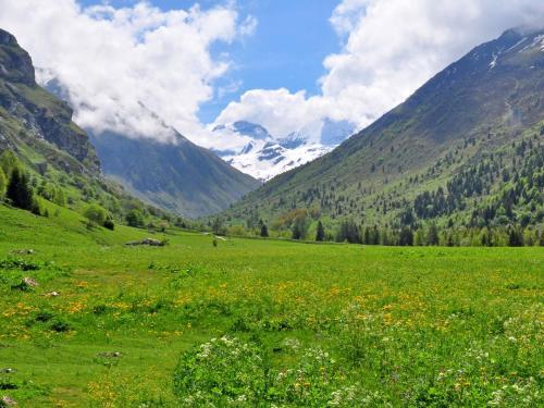 Chalet C�te Arbet II