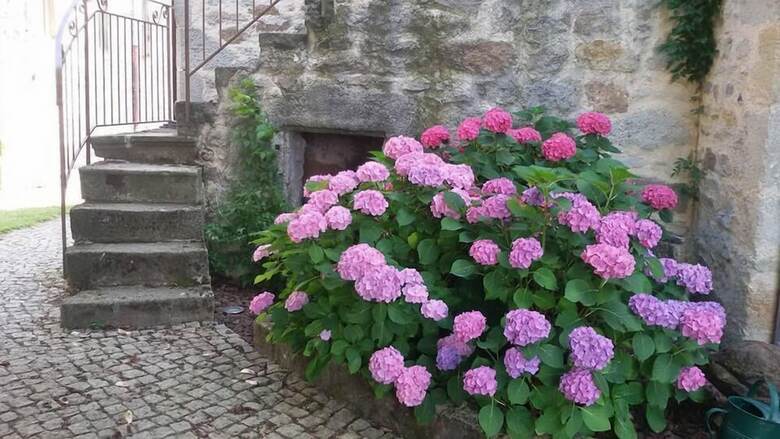 Bed & Breakfast Le Petit Volcan