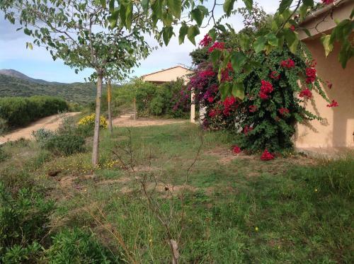 Apartamento Residence Cucunacciu