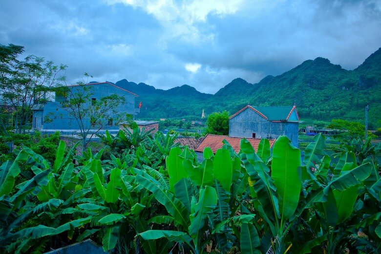 Hotel Phong Nha Friendly Home 2
