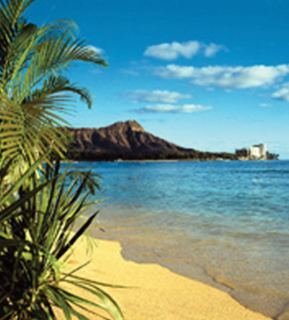 Hotel The Lotus At Diamond Head