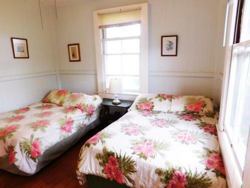 Hapuu At Pahala Plantation Cottages