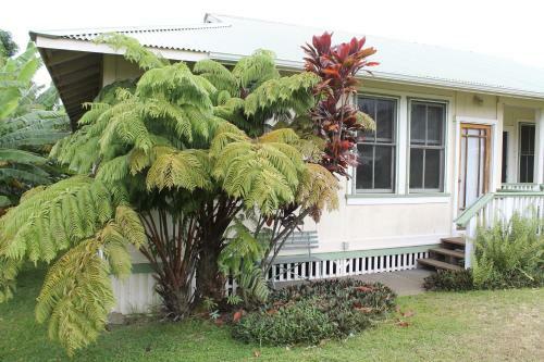 Hapuu At Pahala Plantation Cottages