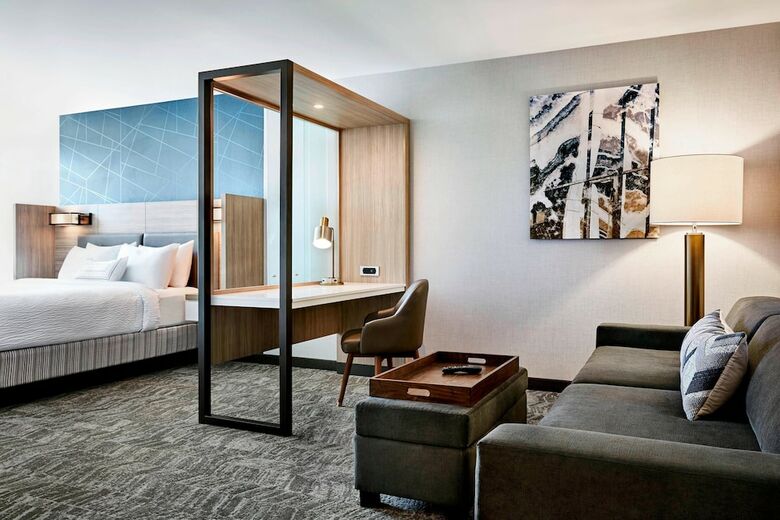 Hotel Springhill Suites By Marriott Atlanta Perimeter Center