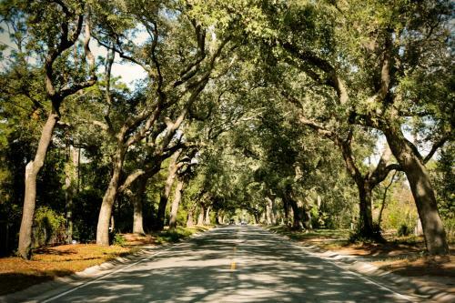 Hotel Hampton Inn Pensacola-airport