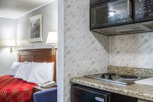 Motel Rodeway Inn & Suites Brunswick