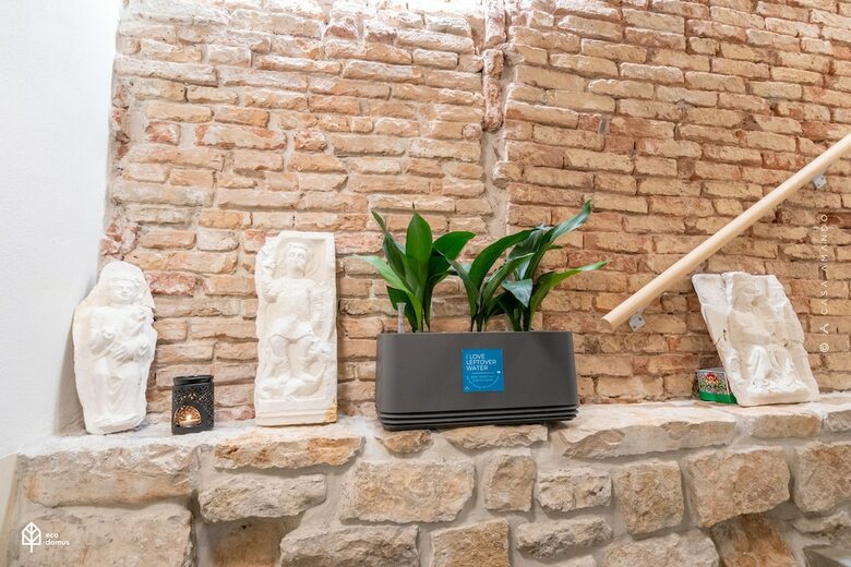 Hotel Casa Amando Boutique Guesthouse