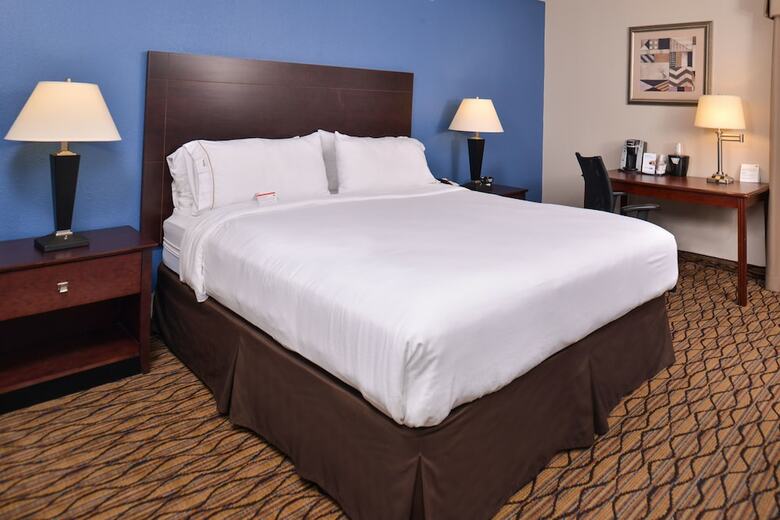 Hotel Holiday Inn Express Omaha West - 90th Street