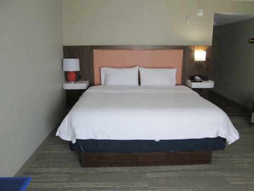 Hotel Hampton Inn & Suites Macon I-75 North
