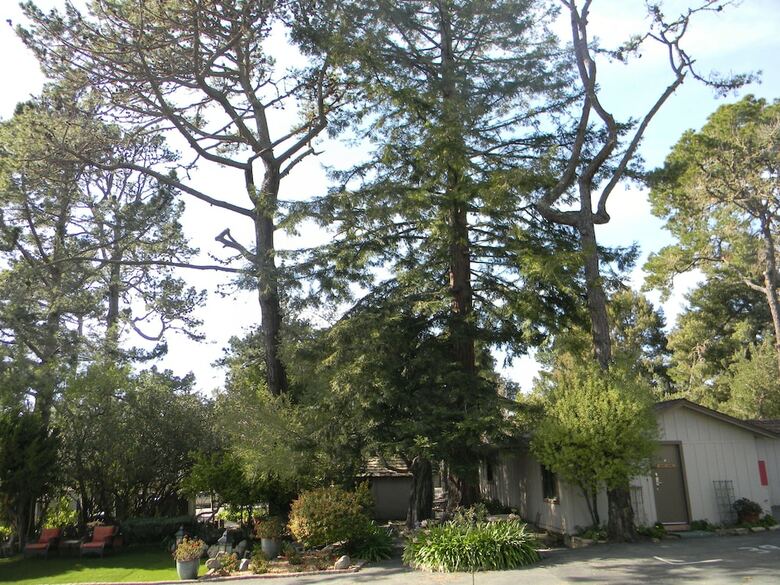 Motel Carmel Resort Inn