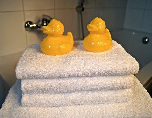 Apartamentos Winterberg Appartement 21053