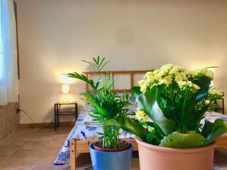 Hotel Gioi Villa Rizzo Lovely Rooms
