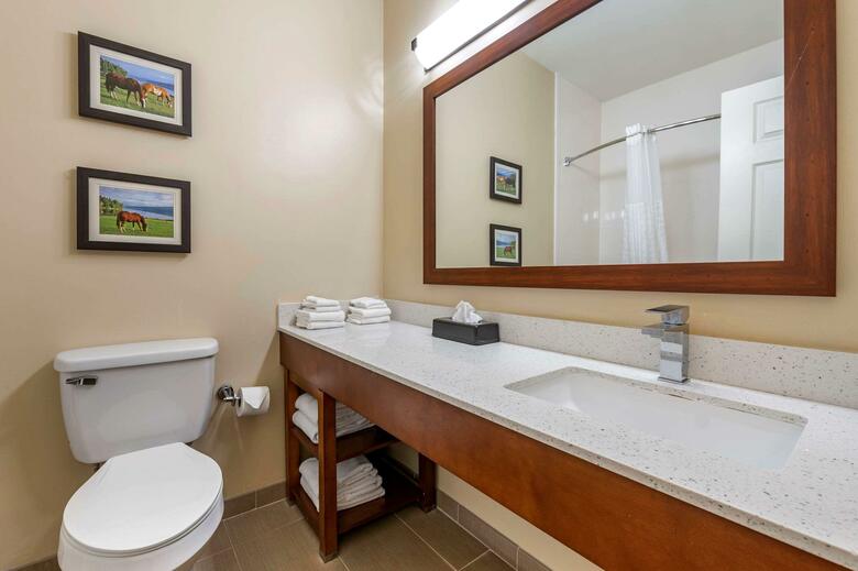 Hotel Comfort Suites Lexington