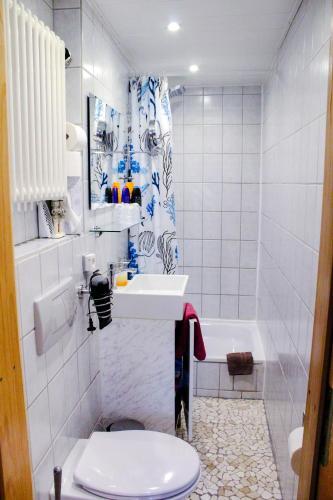 Hostal G�stehaus Obert-vallon