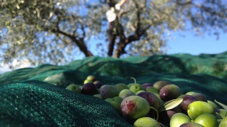 Agroturismo Villa Cavalletti Camere