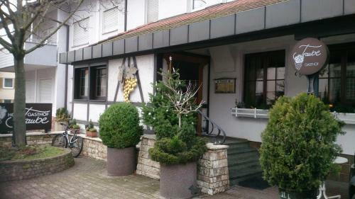 Hotel Gasthof Traube