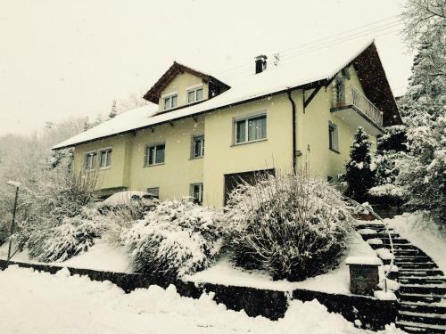 Apartamento Ferienwohnung Dieterle