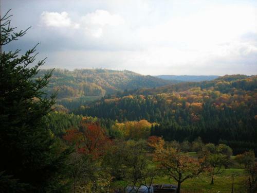 Hostal Gasthof Siller