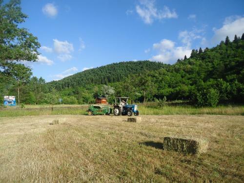 Agroturismo Farm Sotira