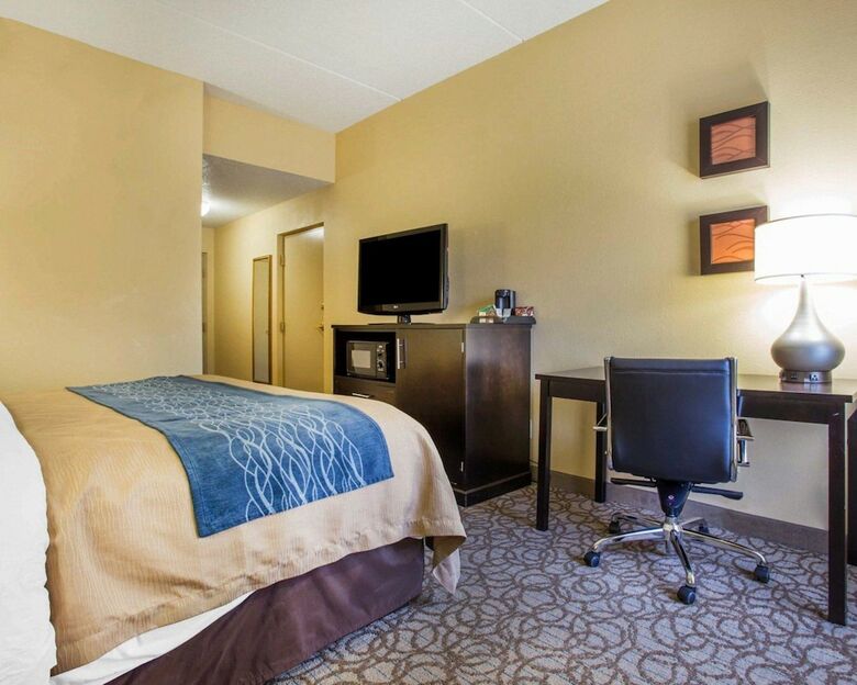 Hotel Comfort Inn & Suites At Stone Mountain