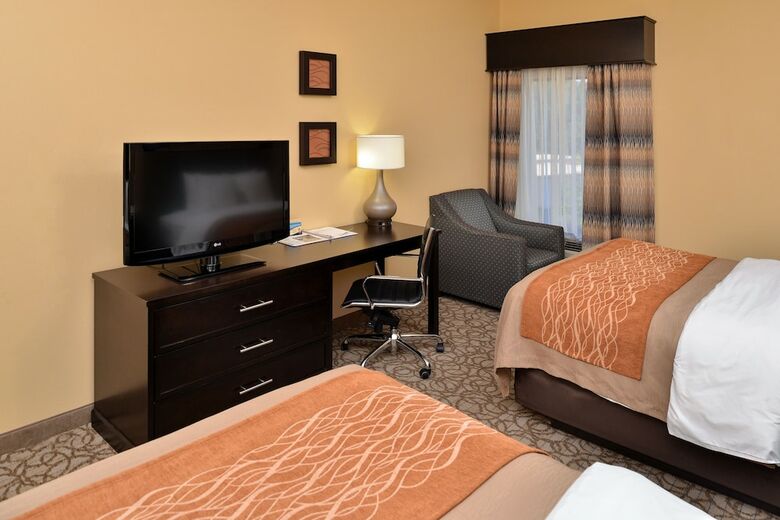 Hotel Comfort Inn & Suites At Stone Mountain