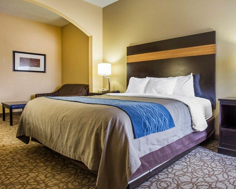 Hotel Comfort Inn & Suites At Stone Mountain
