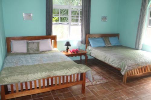 Hostal Inn The Bush Eco-jungle Lodge