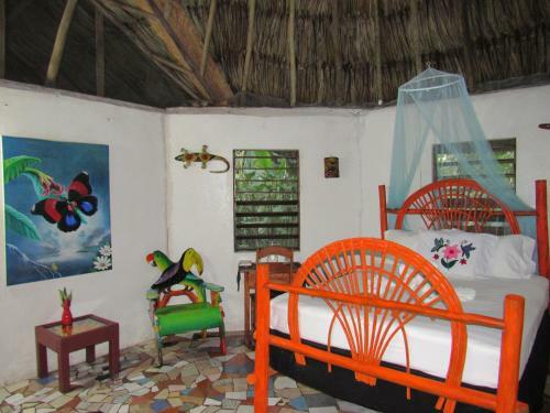 Macaw Bank Jungle Lodge