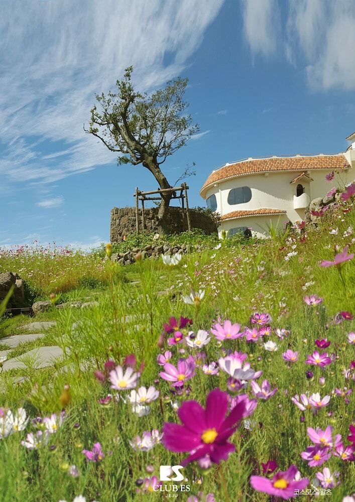 Apartamento Club Es Jeju Resort