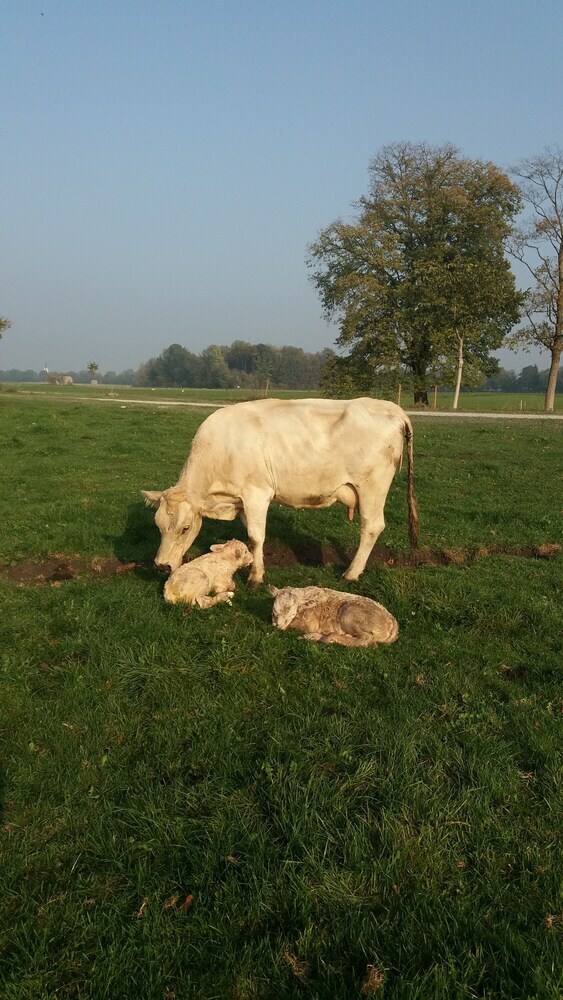Agroturismo Steigmatt Bauernhof - Erlebnis