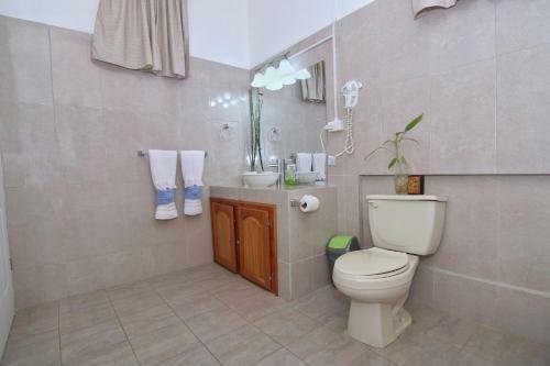 Posada Rainforest Haven Inn