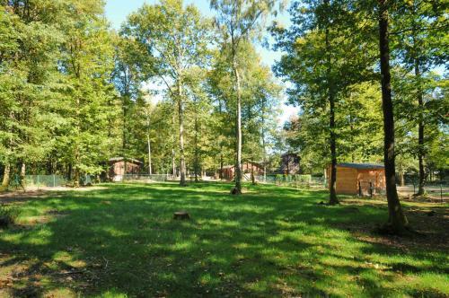 Village De Vacances D'oignies