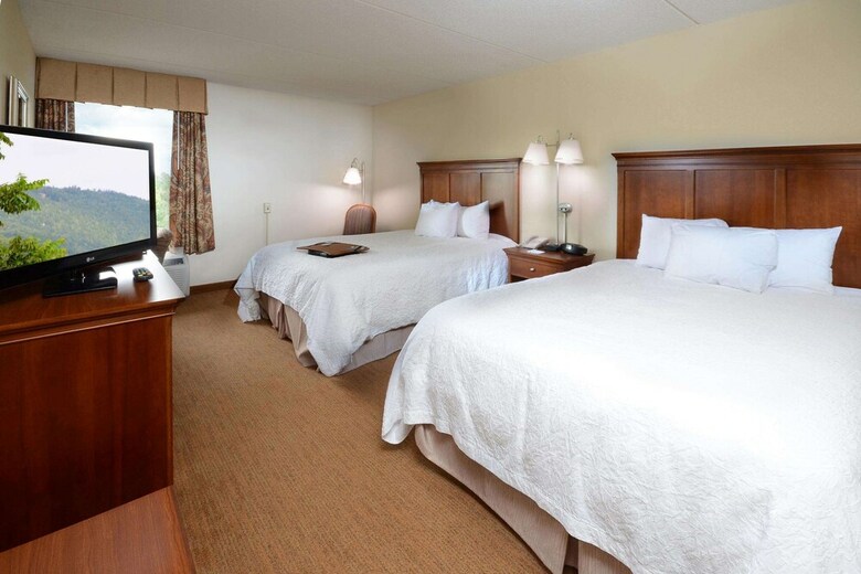 Hotel Hampton Inn Raleigh - Capital Blvd. North