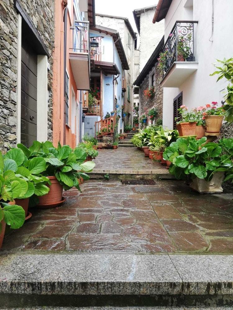 Bed & Breakfast L'agrifoglio