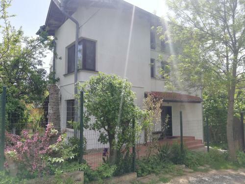 Hostal Guest House Fanny