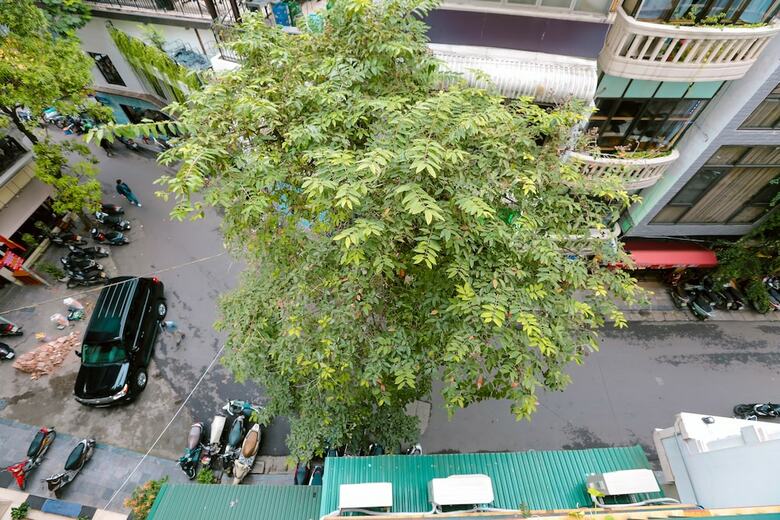 Hotel Oyo 440 Green House