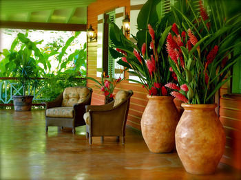 Hotel Rosalie Bay Resort