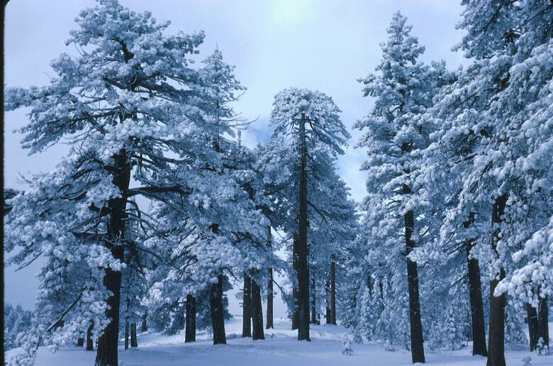 Elliott House Bed & Breakfast