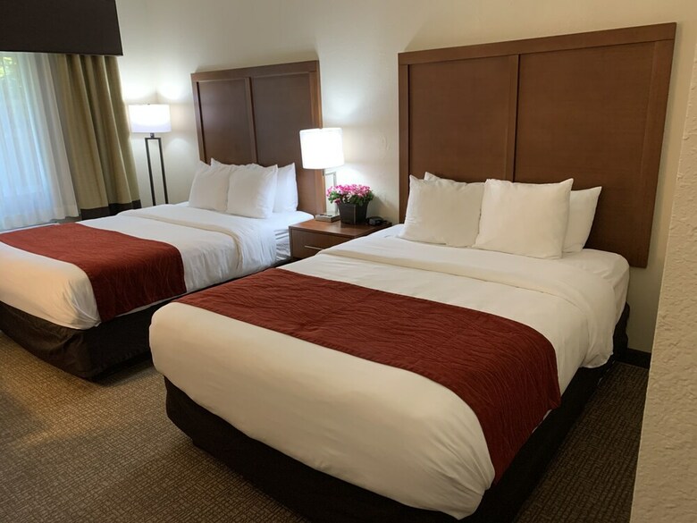 Hotel Comfort Inn South