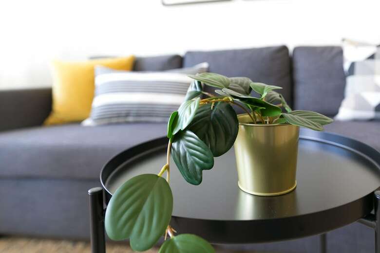 Apartamentos Airhosted - Lucerne City Centre