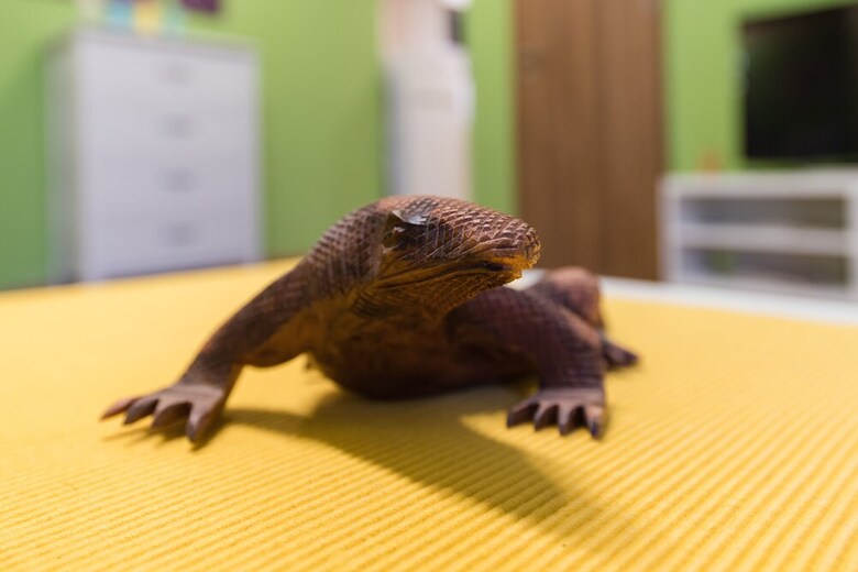 Paulay 7 Apartment Ii.