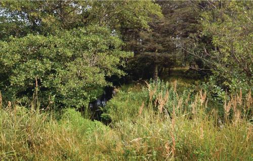 Holiday Home Tulipanvej Fjerritslev I